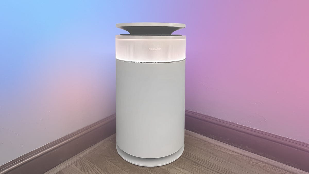Can Air Purifiers Combat Pet Dander? What Our Testing Revealed