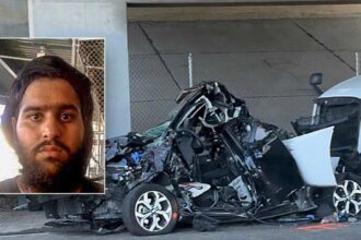 Illegal immigrant truck driver from India arrested in deadly California hit-and-run after Biden release