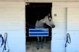 The surprising cost of renting a horse stall at Churchill Downs during the Kentucky Derby