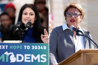 Michigan Dems’ vote-by-phone convention results in ‘material errors’ – including 200 ineligible ballots cast, candidate claims