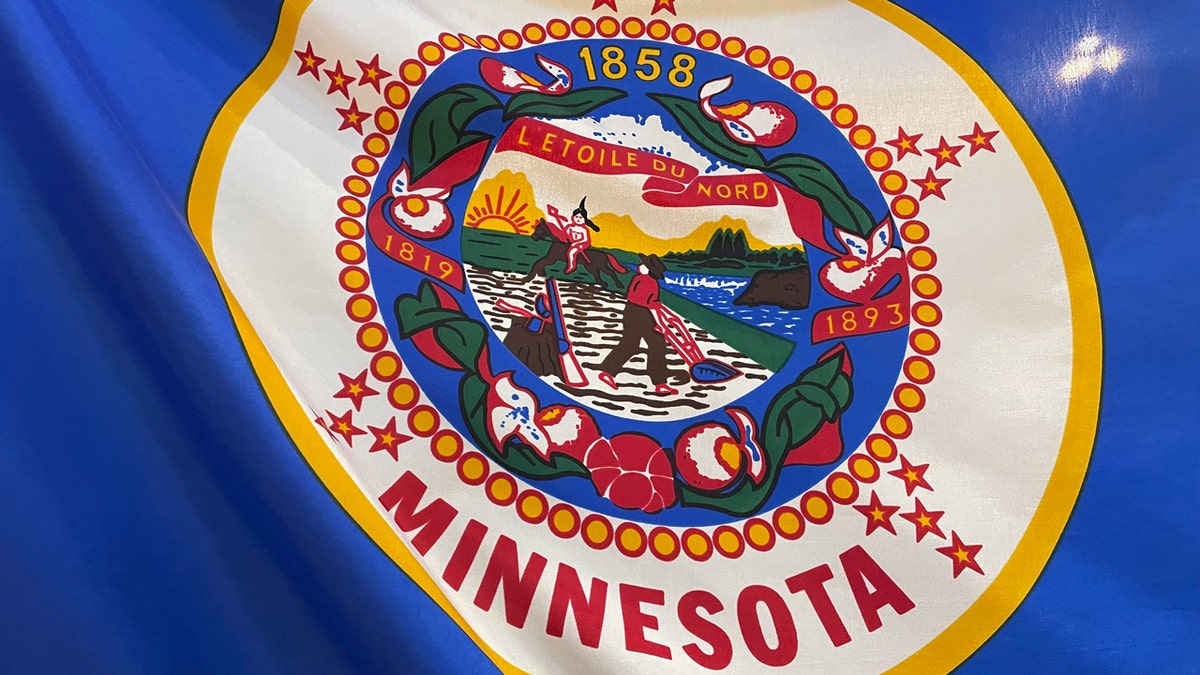 Minnesota state flag flying on a flagpole