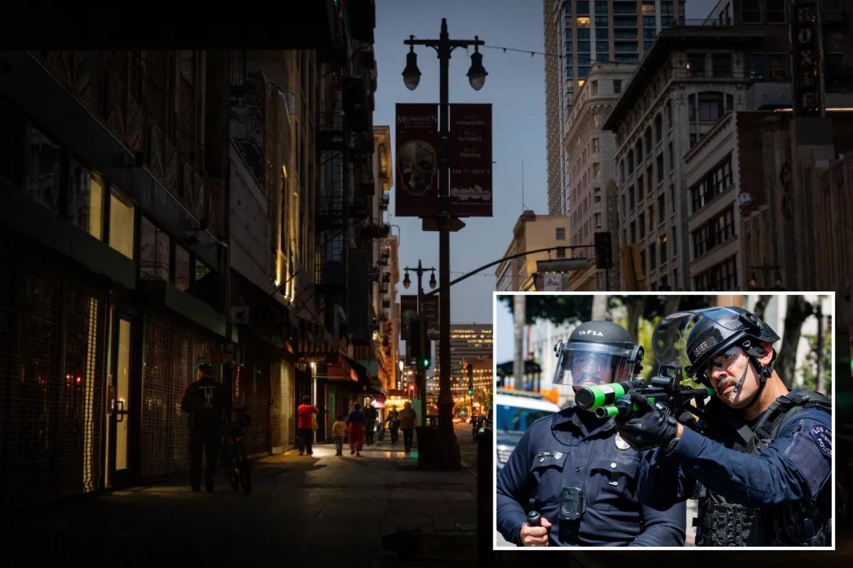Radical plan to send in army of armed guards to fight out-of-control LA copper wire theft