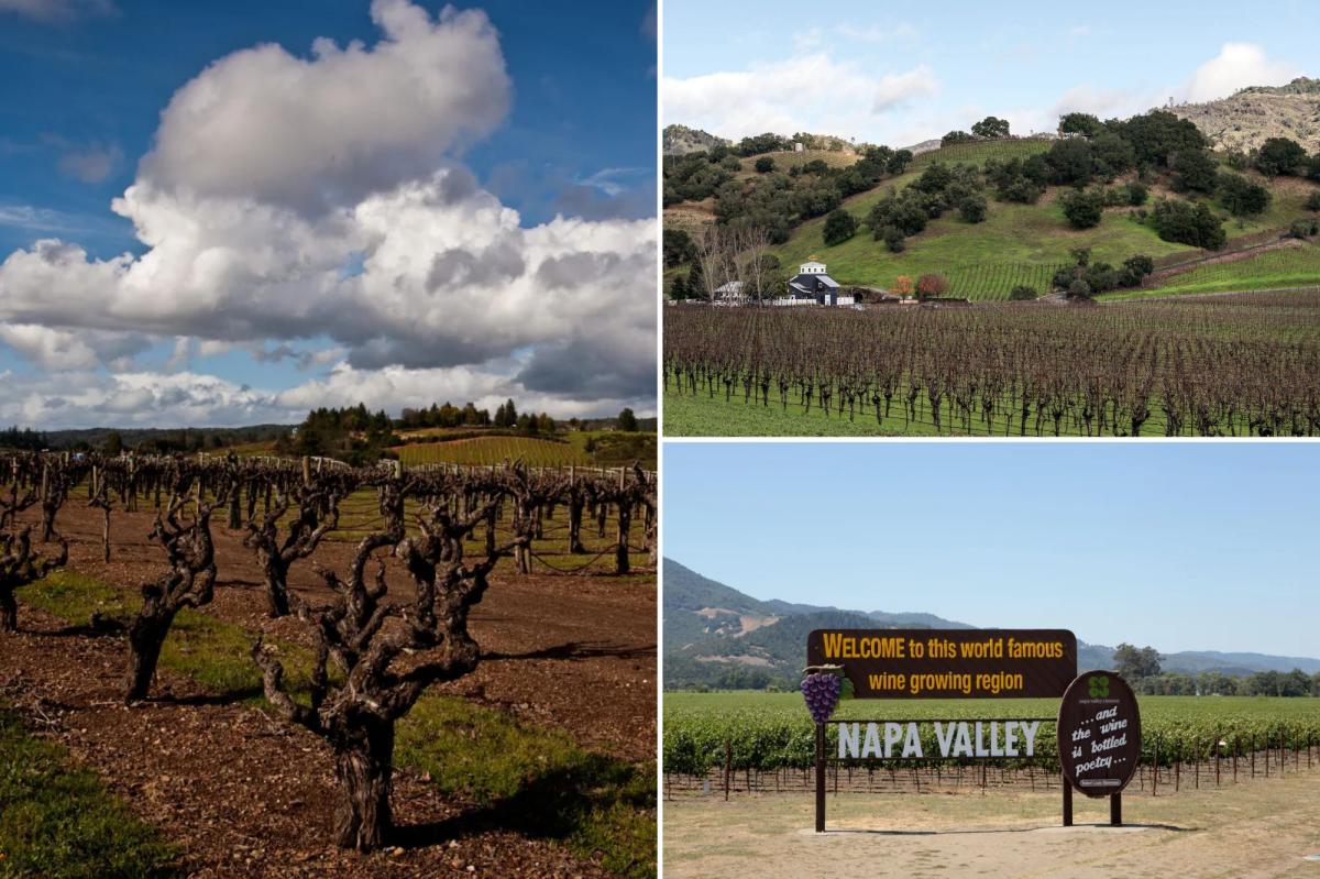 Napa Valley nightmare as experts warn wineries could run dry: ‘Unsustainable’