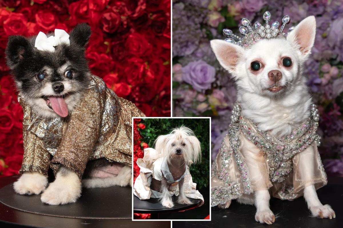 Can you guess these pups’ A-list muses — as the Pet Gala takes NYC?