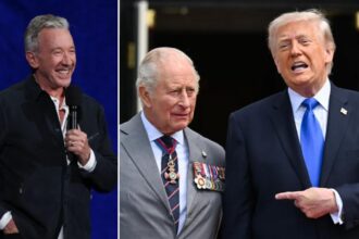 Tim Allen trolls ‘No Kings’ lawmakers for fawning over actual King Charles