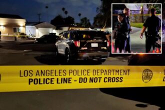 Newborn girl killed in horror North Hills murder-suicide as identities of 4 victims revealed