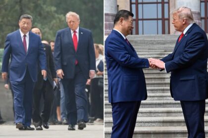 ‘Lion’-like Trump deploys ‘power move’ as he, Xi show ‘genuine affection’ during historic China summit: body language expert