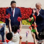 Striking difference between Trump-Xi summit in 2026 and 2017: expert