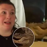 Two alligators caught on video brawling on Florida mother’s front porch — just feet from sleeping baby inside