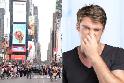 Raising a stink: The Post sniffed out NYC’s smelliest neighborhoods, according to 311 complaints