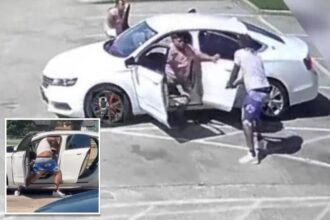 Illegal immigrant ID’d as attempted carjacker gunned down by Texas dad protecting his family of 8