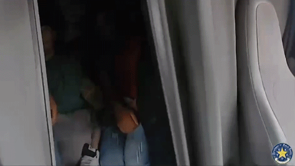 Chaotic border chase ends with illegal immigrants found crammed in semitruck sleeping area