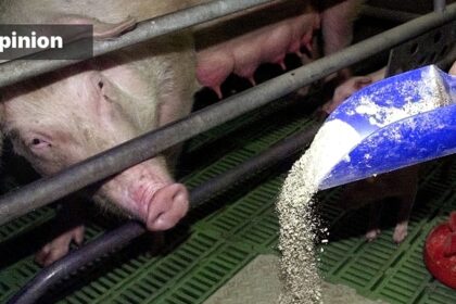 China understands food security — the EU does not