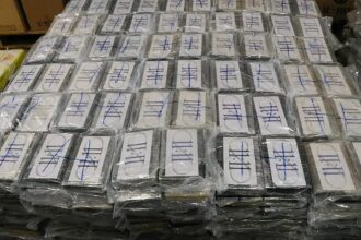 Does the EU have a drug problem? Take our poll