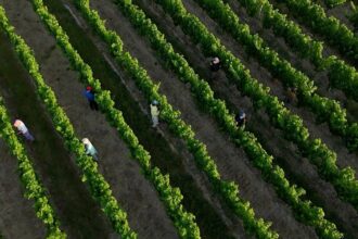 France adapts as extreme heat becomes the new norm