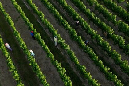 France adapts as extreme heat becomes the new norm