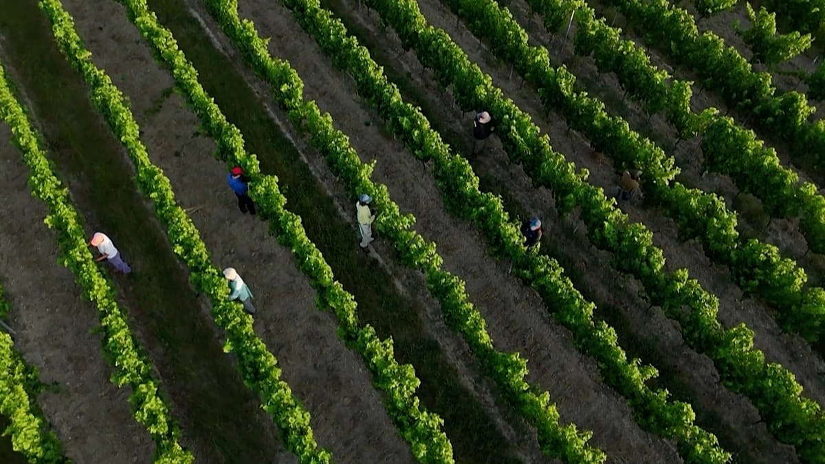 France adapts as extreme heat becomes the new norm