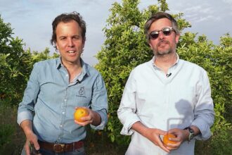 CrowdFarming: the platform that wants to feed Europe better
