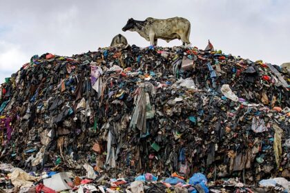 EU seizes 4,200 tonnes of illegal textile waste from Italy in Turkey