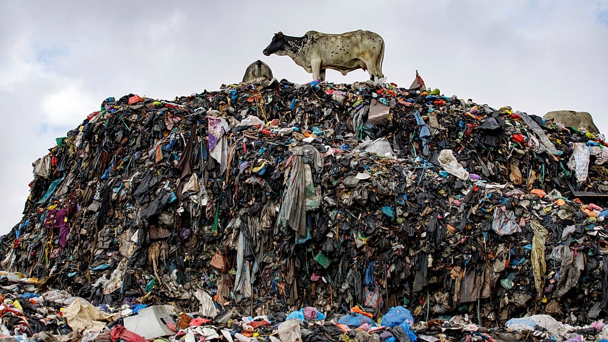 EU seizes 4,200 tonnes of illegal textile waste from Italy in Turkey