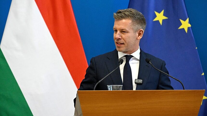 Magyar’s EU summit debut signals Hungarian reset after change of guard