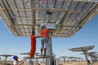 EU-backed green bonds risk financing Chinese clean tech