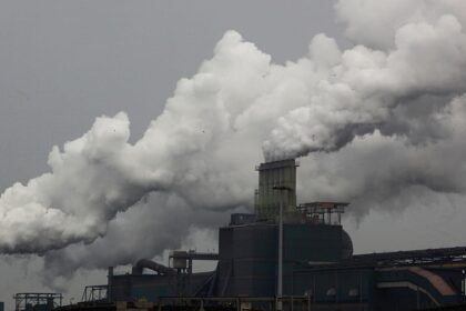 Portugal urges Brussels to rethink free carbon allowances cut