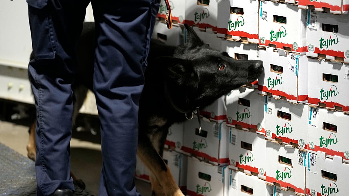 EU warns of rising risks as Europe drug market grows complex