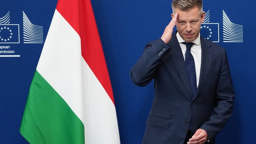 Hungary’s Péter Magyar heads Berlin and Paris to seal EU reset