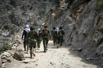No option but to talk to Taliban about migrant returns, EU says