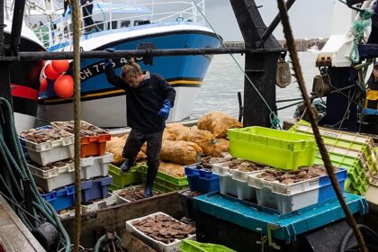 French fishermen gather in Cherbourg as sector faces challenges
