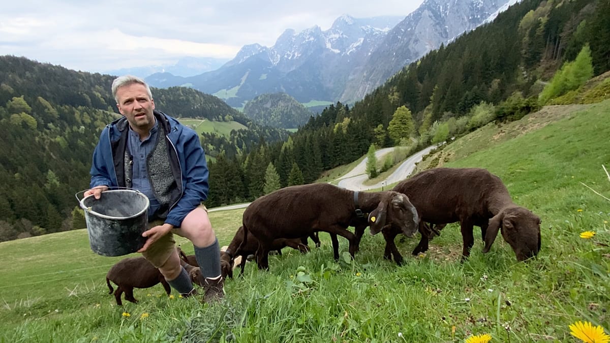 Austria’s seemingly happy farmers: the keys to a rural success story