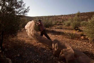 Can EU countries restrict or ban Israeli settlement imports?