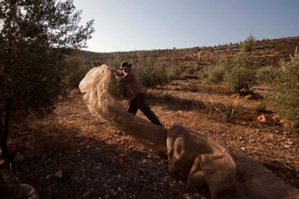 Can EU countries restrict or ban Israeli settlement imports?