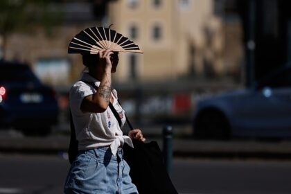 Heatwave and wildfire alerts, power cuts in Finistère: France swelters