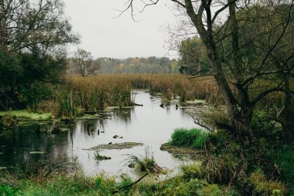 Almost like minefields: Europe’s peatlands gain military importance