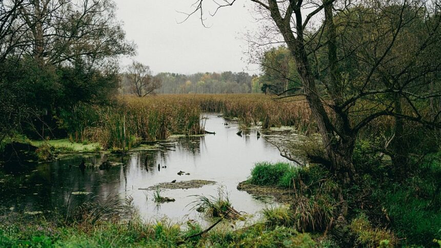 Almost like minefields: Europe’s peatlands gain military importance