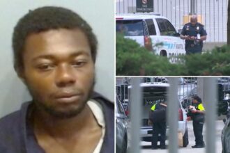 Atlanta train passenger was stabbed 20 times after homeless thug slit her throat in random attack on MARTA