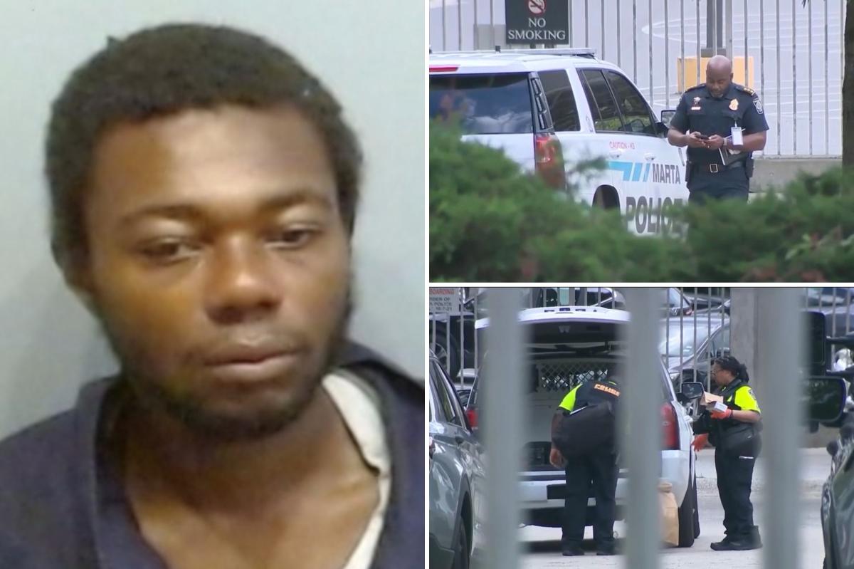 Atlanta train passenger was stabbed 20 times after homeless thug slit her throat in random attack on MARTA