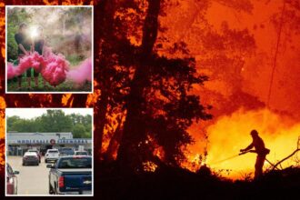 M settlement after gender reveal ignited deadly SoCal wildfire