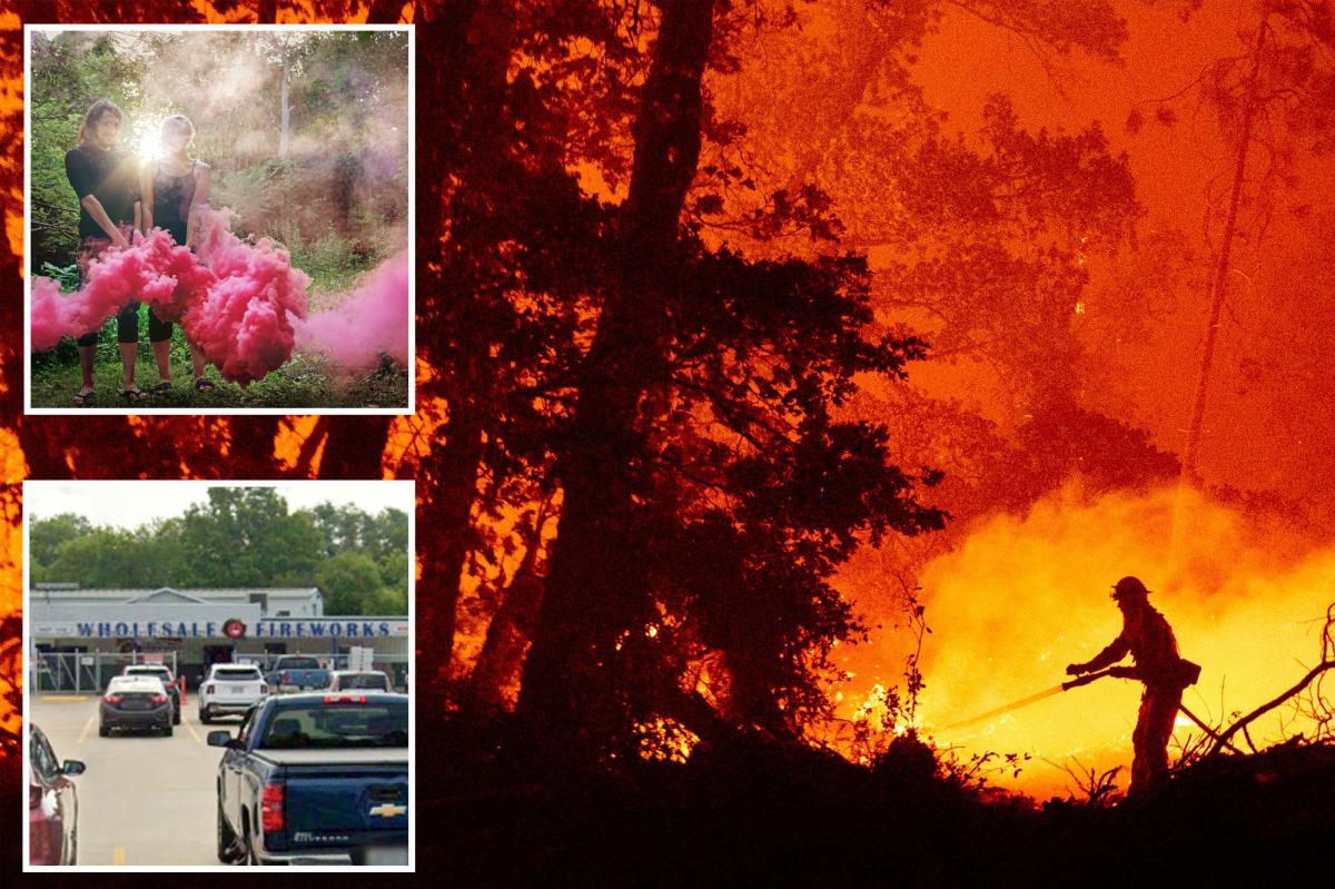 M settlement after gender reveal ignited deadly SoCal wildfire