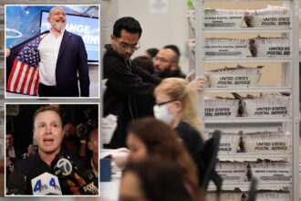 Trump claims Dems ‘trying to steal’ California primaries, launches probe into sluggish vote counts