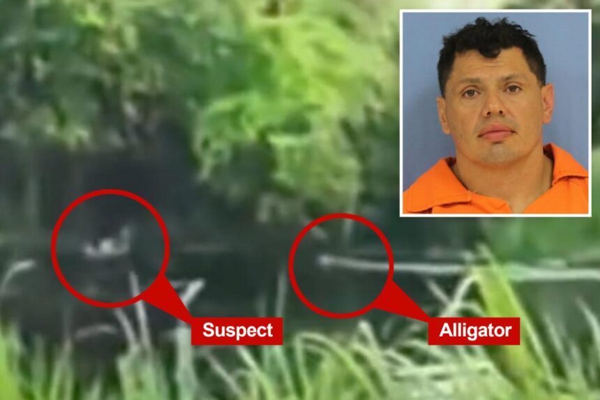 Video shows accused drunk driver run from cops — and into the jaws of a gator