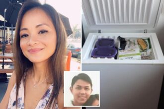 Missing mom Maya Millete’s explosive journal entries read aloud in San Diego murder case against Navy optician husband