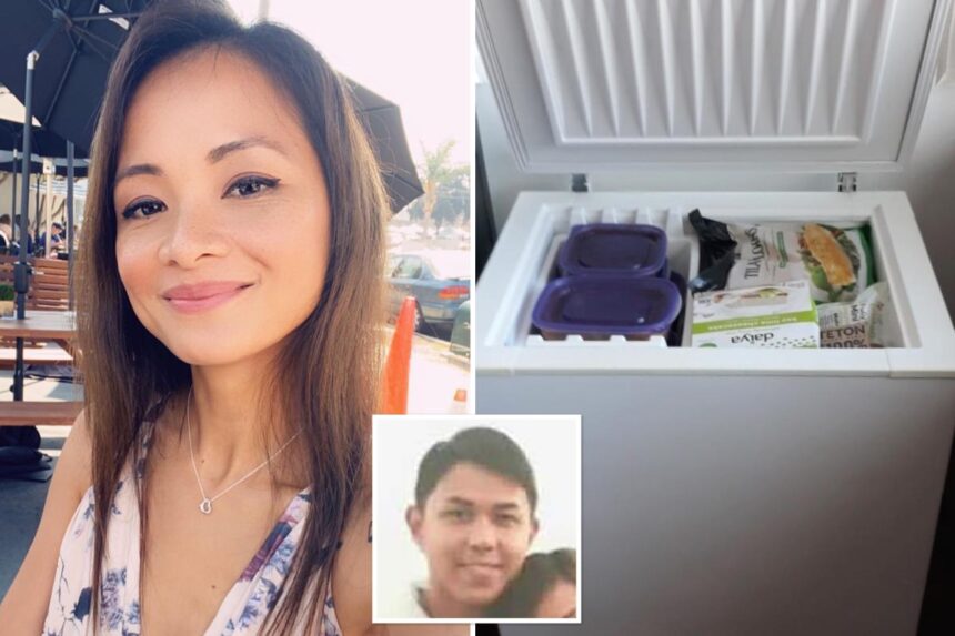 Missing mom Maya Millete’s explosive journal entries read aloud in San Diego murder case against Navy optician husband