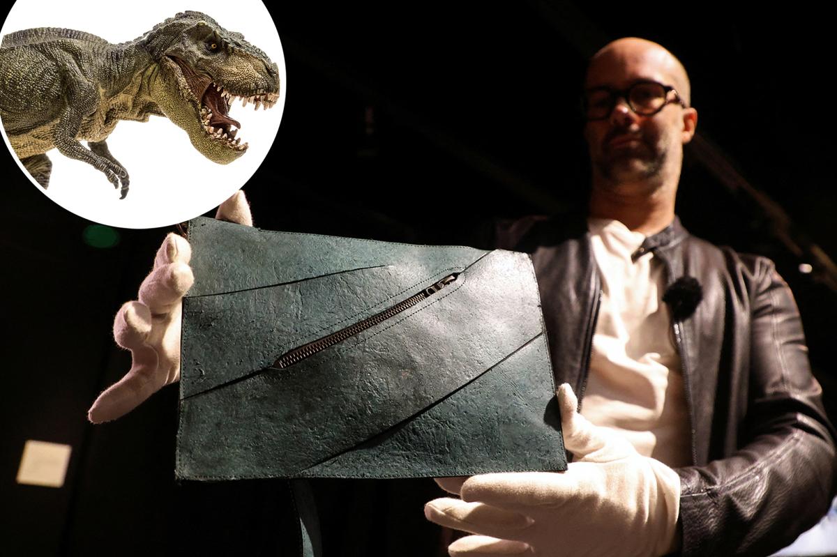 Bona fide T. rex leather purse is going up for auction — and it could fetch 0K