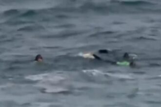 Desperate search for girl after monster wave sweeps her away from her mom off Laguna Beach