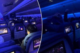 Excited Knicks fans turn Delta flight into raucous watch party, erupting over win at 30,000 feet 