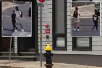Boston children’s lemonade stand robbed at gunpoint in broad daylight: ‘Just take it!’