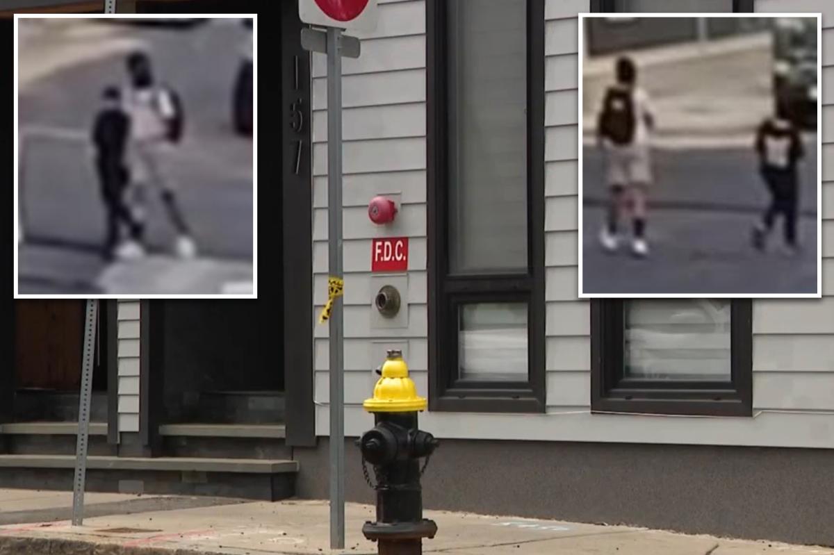 Boston children’s lemonade stand robbed at gunpoint in broad daylight: ‘Just take it!’